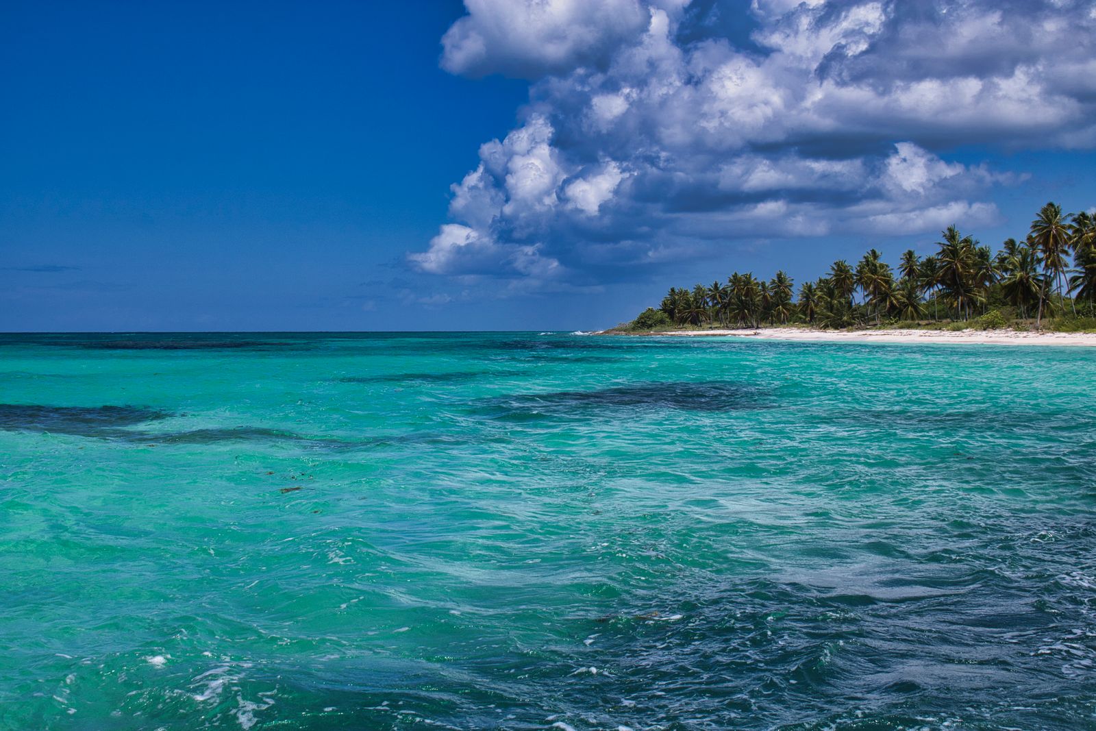 Caribbean beach with turquoise water