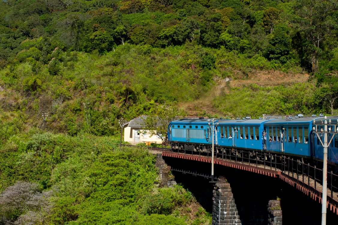 Train through the green hills of Ella, Sri Lanka