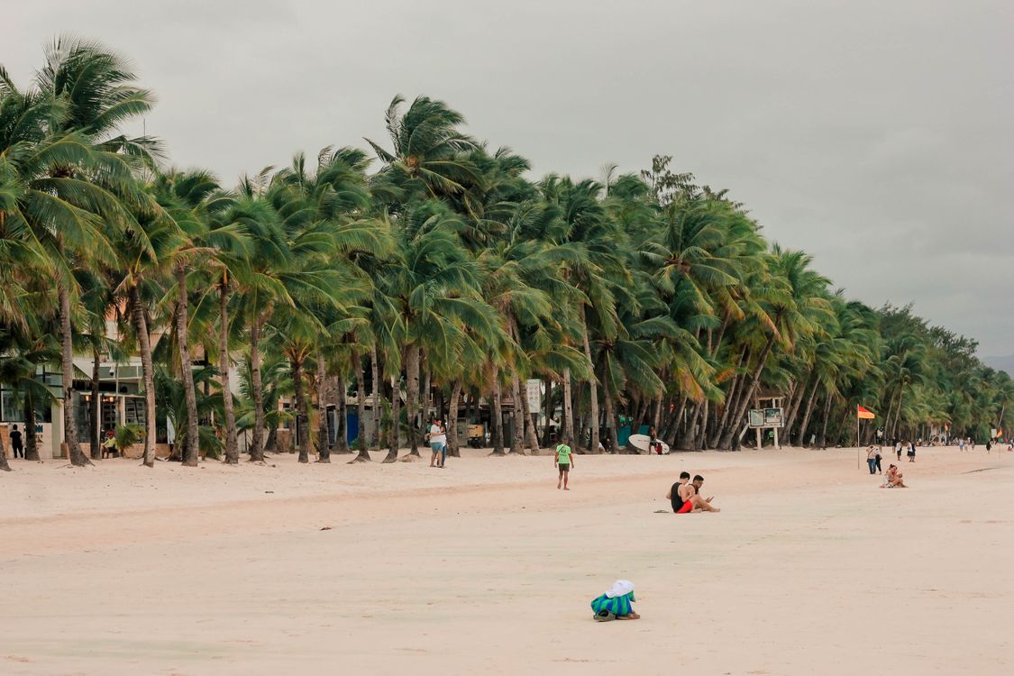 Tropical beach with palm trees in the Philippines